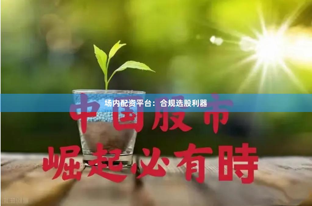 场内配资平台：合规选股利器