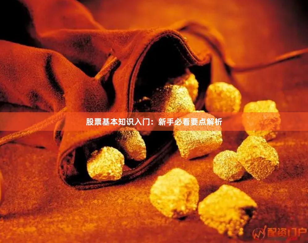 股票基本知识入门：新手必看要点解析