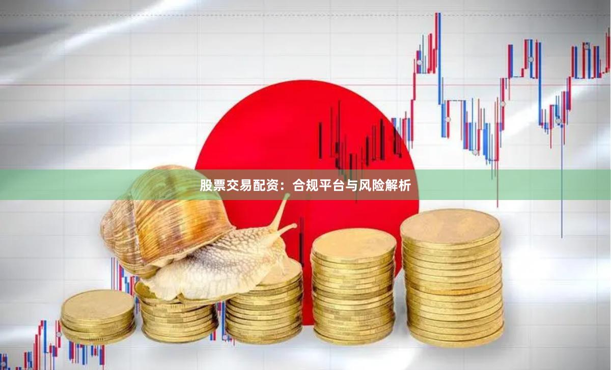 股票交易配资：合规平台与风险解析