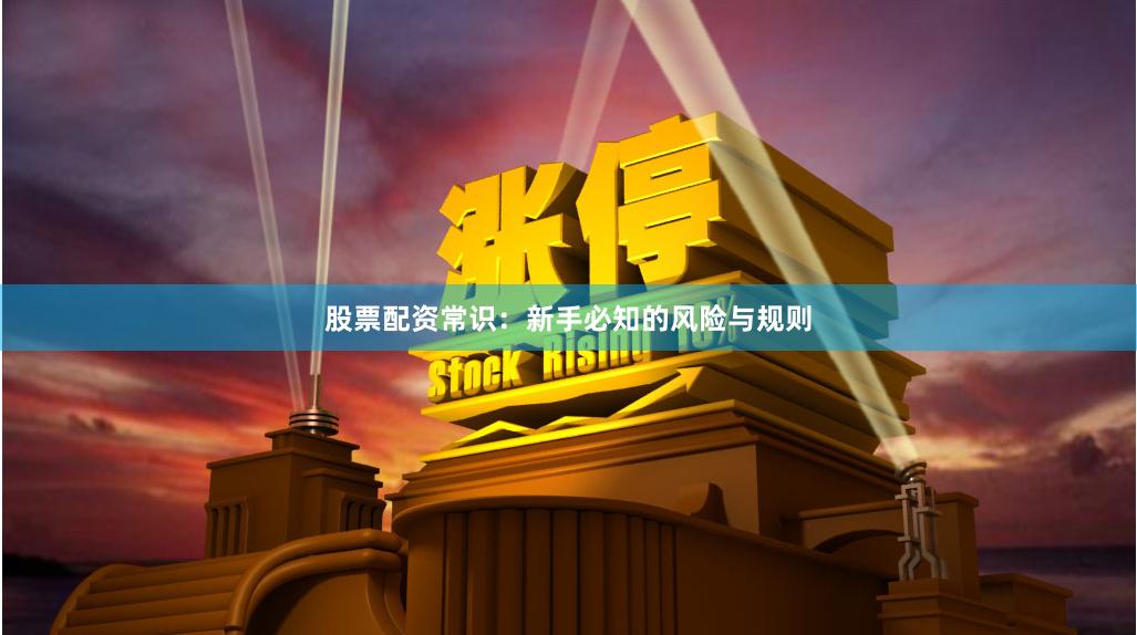 股票配资常识：新手必知的风险与规则